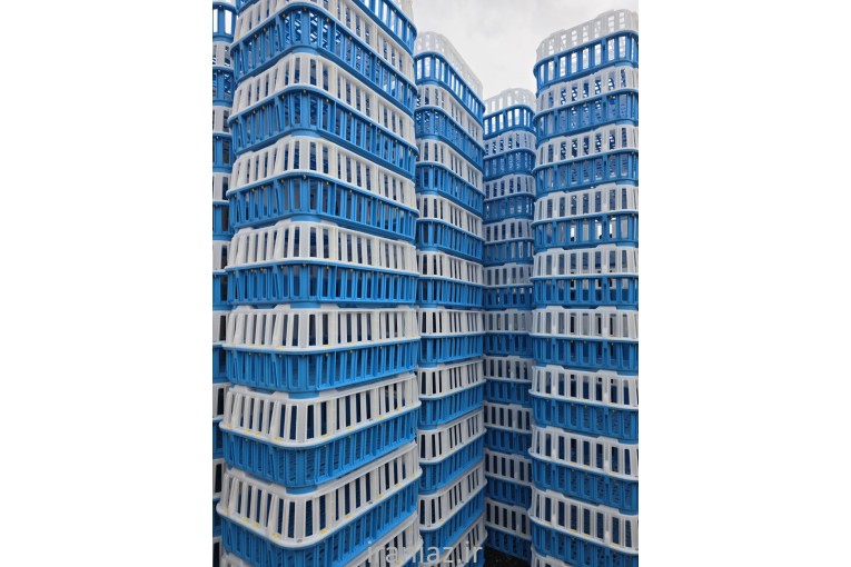 قفس حمل مرغ زنده 