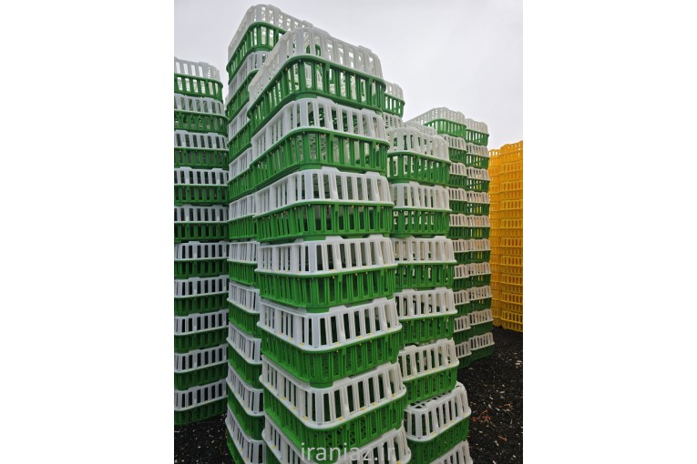 قفس حمل مرغ زنده 