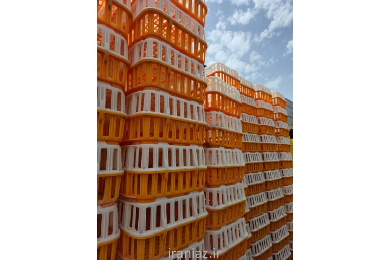 قفس حمل مرغ زنده 