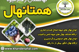 فروش نهال میوه پیوندی اصلاح شده