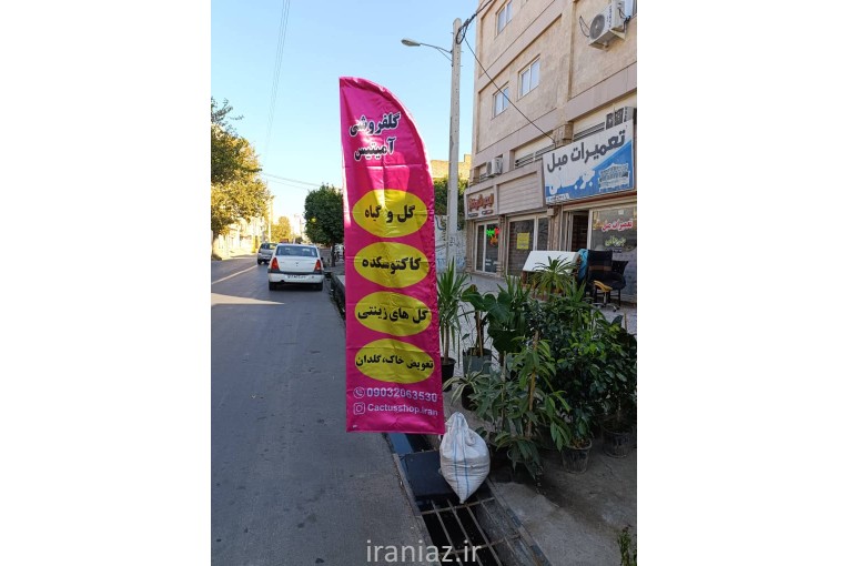 فروش انواع گل آپارتمانی کاکتوس