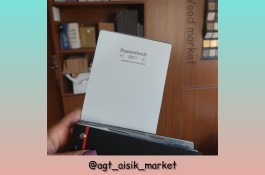 هایگلاس پانوتک