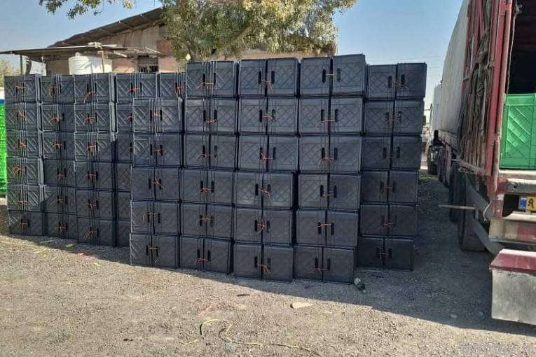 سبد 40 کیلویی درجه دو 