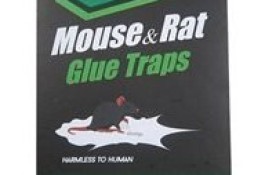چسب موش کتابی ثناترپ