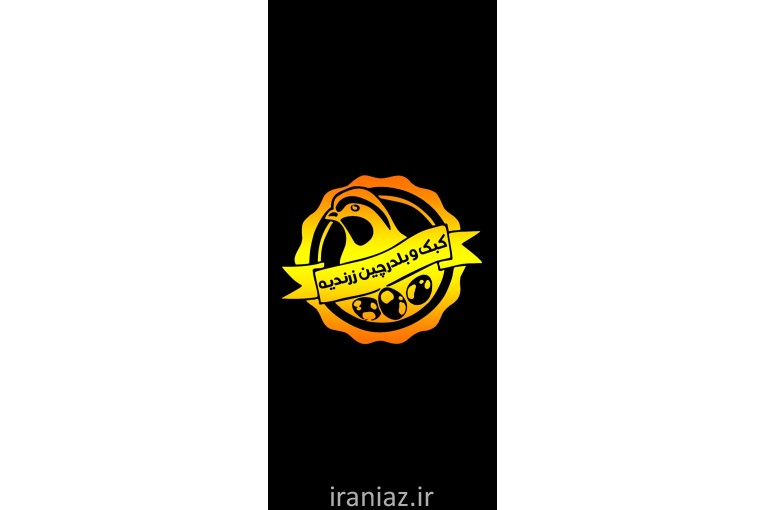 تخم نطفه دار کبک
