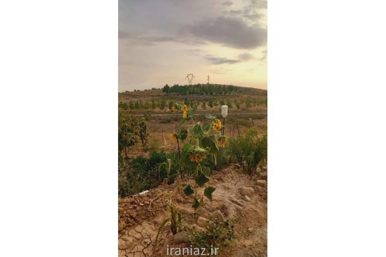زمین باغ ویلا