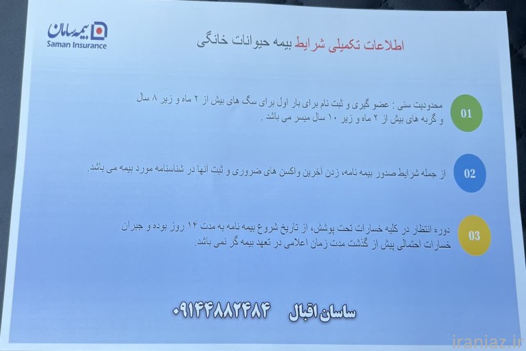 بیمه حیوانات خانگی 