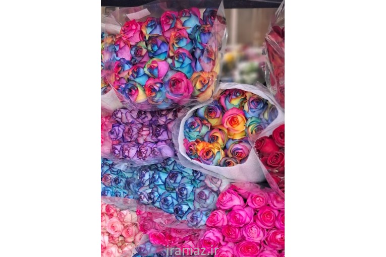 پخش گل طبیعی 