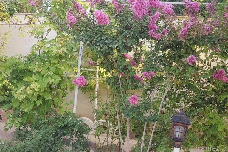 اجاره ویلا کردان کرج