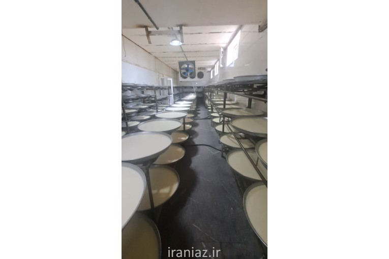لبنیات سرشیر