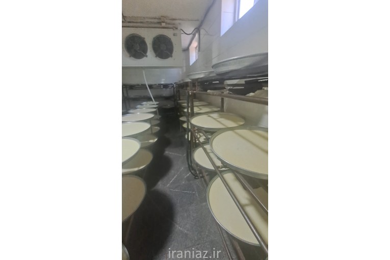 لبنیات سرشیر