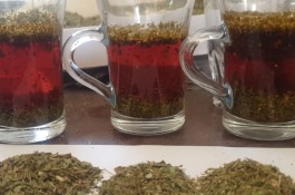 برگ و پودر حنا و سدر و وسمه بصورت تناژ نامحدود 