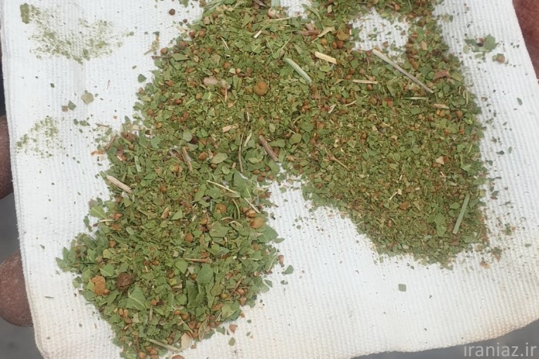 برگ و پودر حنا و سدر و وسمه بصورت تناژ نامحدود 