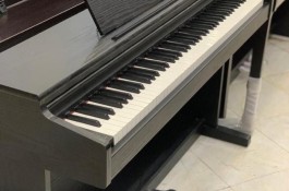 پیانو دایناتون SLP175