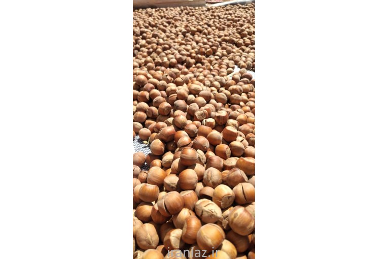 فندق اوسطی