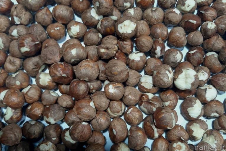 فندق اوسطی