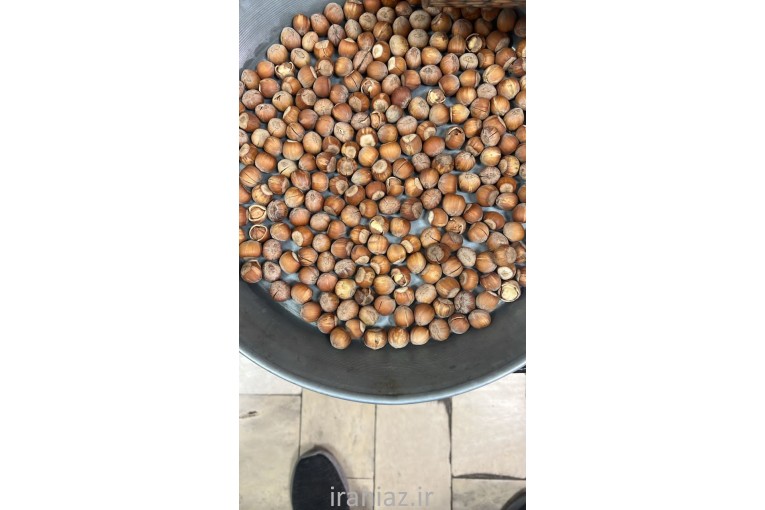 فندق اوسطی