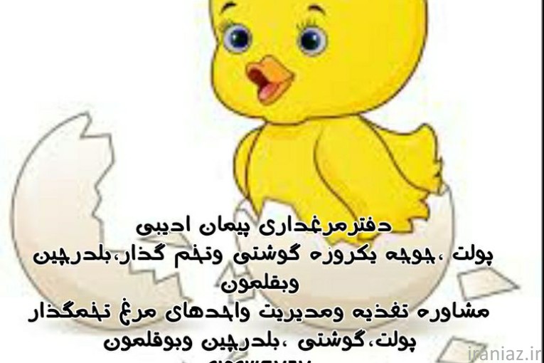 تدریس ومشاوره پرورش دام وطیور