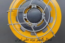 سر پیک نیک 4 کاره ذغال گستر