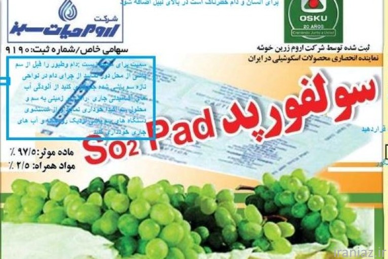 حفظ کیفیت شادابی انگور صادارتی