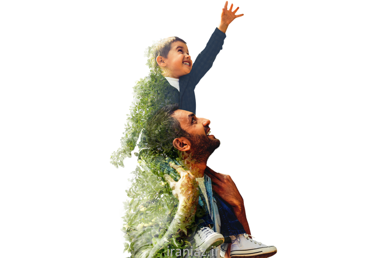 اولین و برترین رنگ محافظ تنه درخت (پدیده)