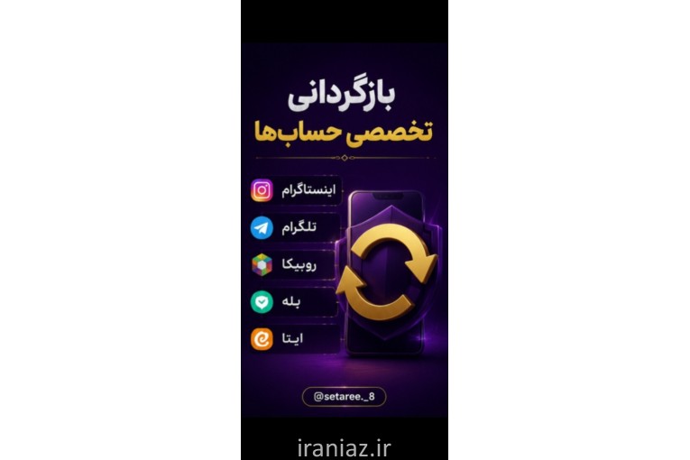 بازگردانی پیج(امنیت پیج)