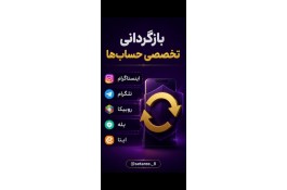 بازگردانی پیج(امنیت پیج)