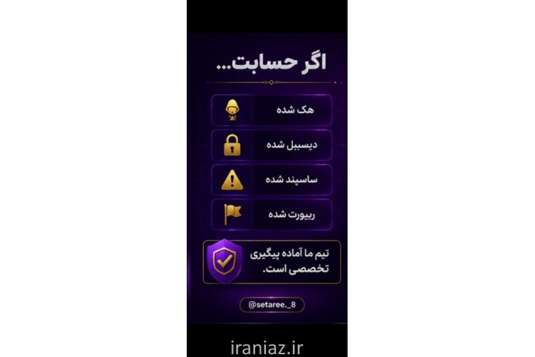 بازگردانی پیج(امنیت پیج)