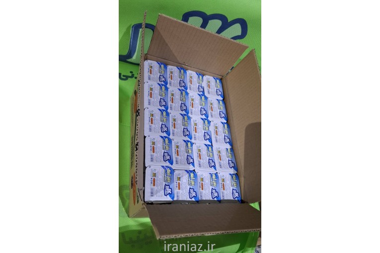 فروش پنیر لبنه 30گرمی رستورانی