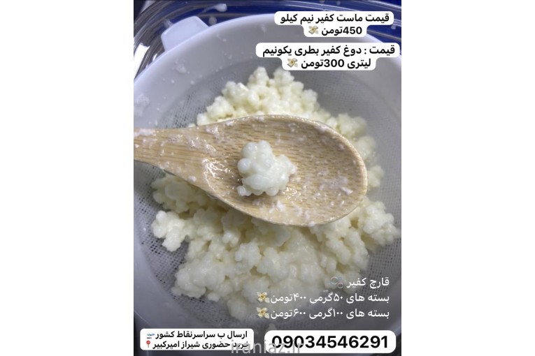 فروش قارچ کفیر