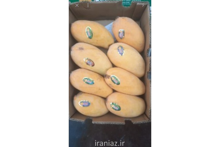 انبه زرد رسیده محلی و پاکستانی درجه یک