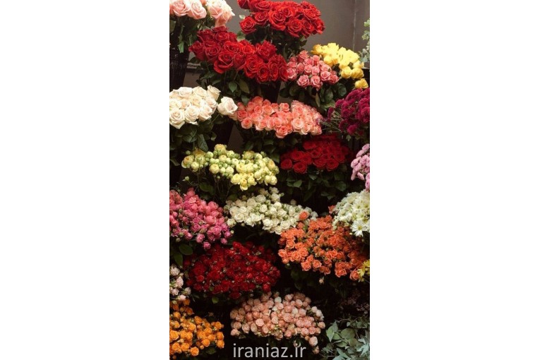 گلفروشی مهربان