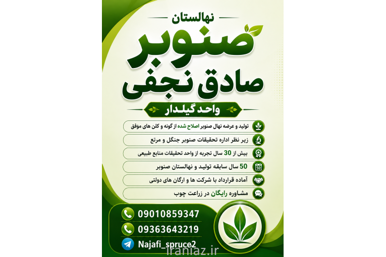 بهترین نهال صنوبر سریع رشد