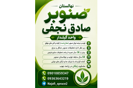 بهترین نهال صنوبر سریع رشد