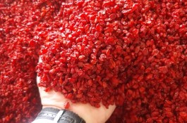 مواد غذایی