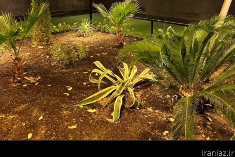 خوابگاه دخترانه رویال باران شعبه سعادت آباد