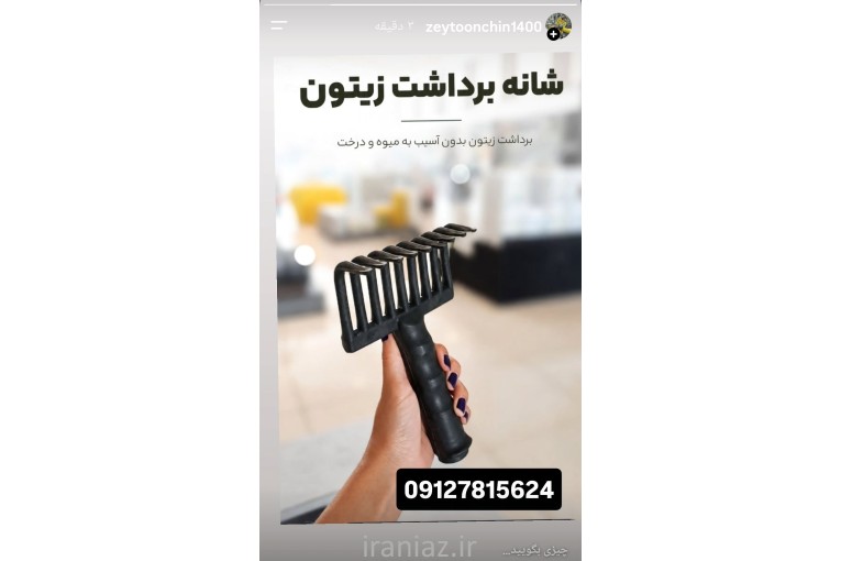 زیتون چین اعتدادصنعت