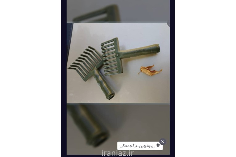 زیتون چین اعتدادصنعت
