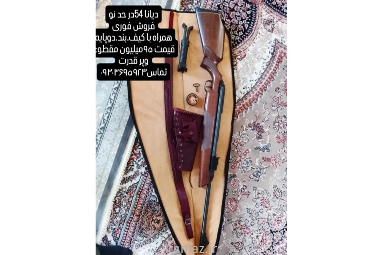 دیانا۵۴ نو قیمت مناسب