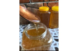 عسل خالص و گرده گل و ژل رویال اصل