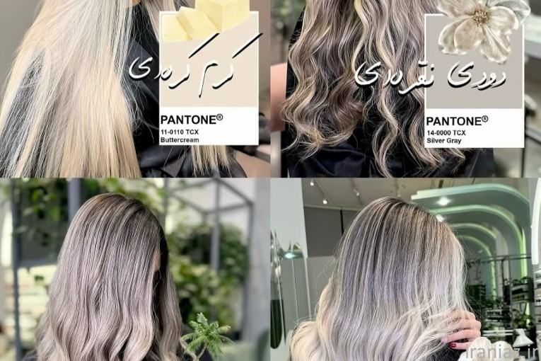 مدل رنگ و لایت