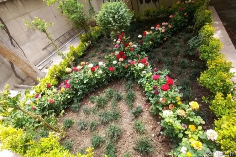انجام کلیه خدمات باغبانی در سعادت آباد