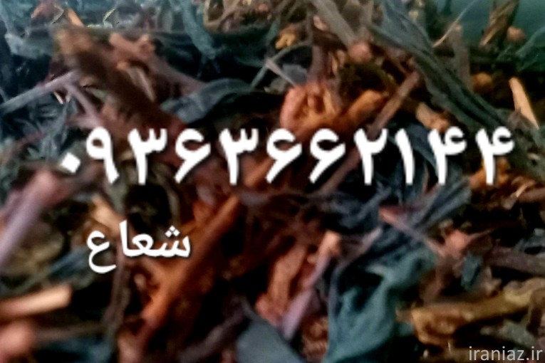 چای طبیعی قلم لاهیجان