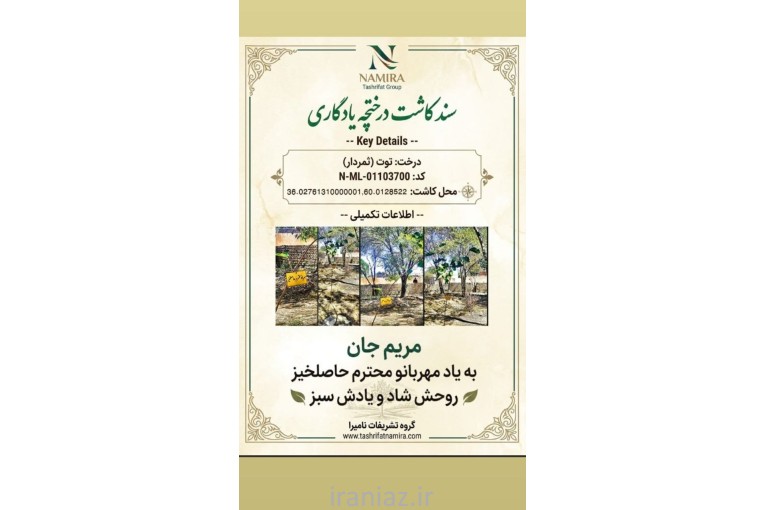 کاشت درخت و نهال-اموات-درختچه یادگاری-نامیرا