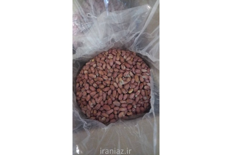 فروش بادام زمینی آستانه اشرفیه