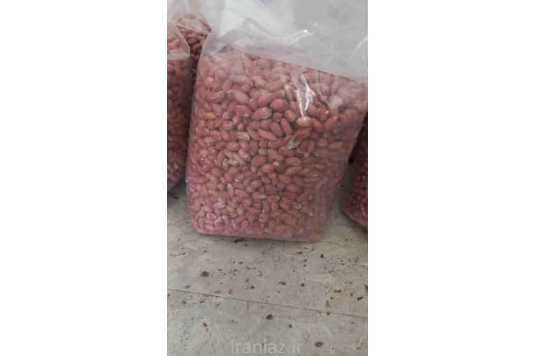 فروش بادام زمینی آستانه اشرفیه