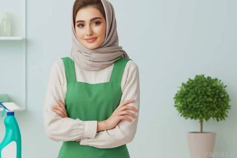 نظافت vip پاک شوی