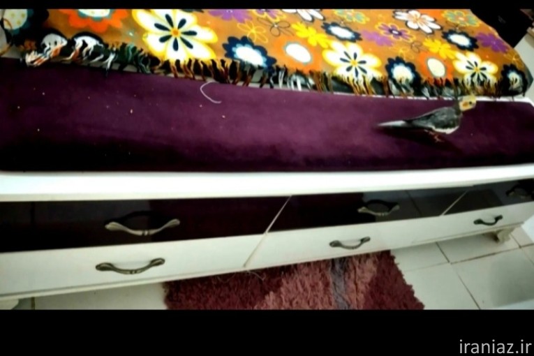 تخت خواب دونفره