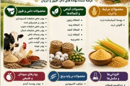 خوراک دام و طیور