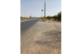 گوسفنده زنده (مغان و افشار)